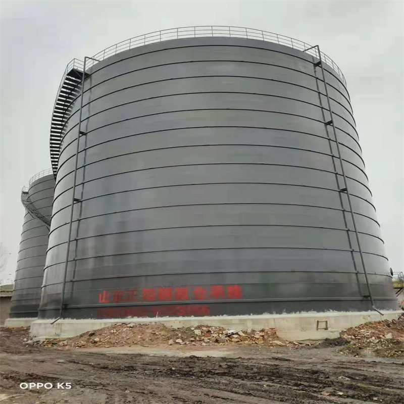 大化3万吨大型钢板库